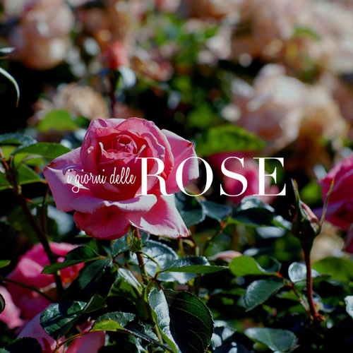 I Giorni delle Rose